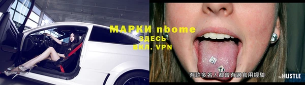дмт Инсар