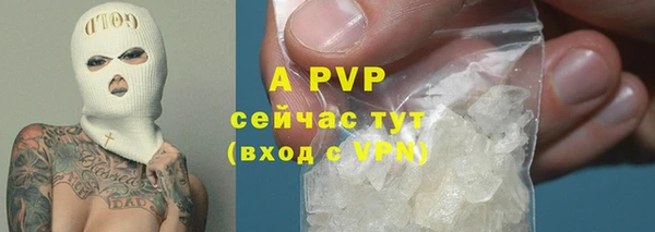 амф Зерноград
