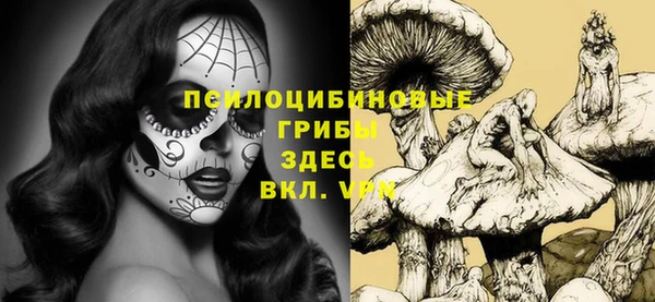 мескалин Инта