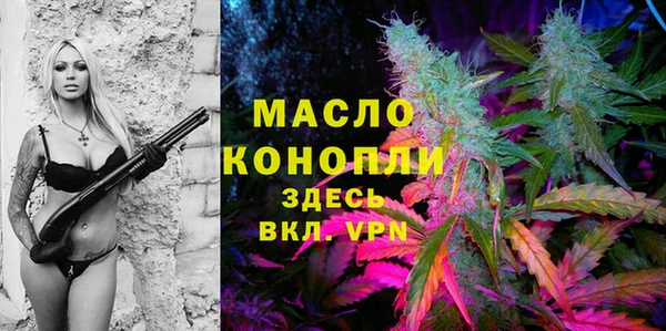 ешки Иннополис