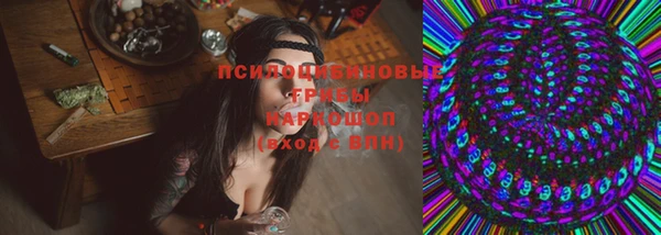 амф Зерноград